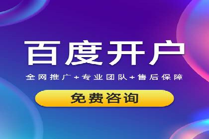 专业SEM运营托管服务案例分析